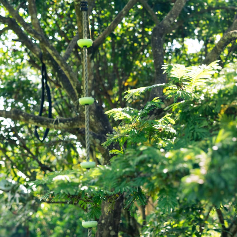 Garden activities with students