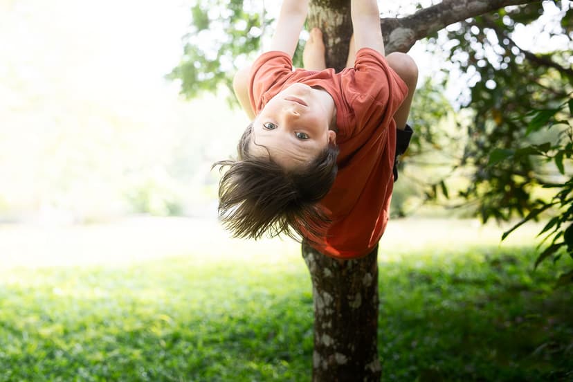 Kids hanging from tree branches